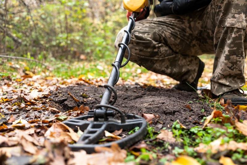 Пронашле рѓосана кутија во шума, а во неа имало вистинско богатство (ФОТО)