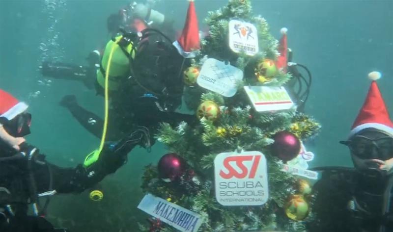 Видео: Блесна новогодишната елка во водите на Охридското Езеро