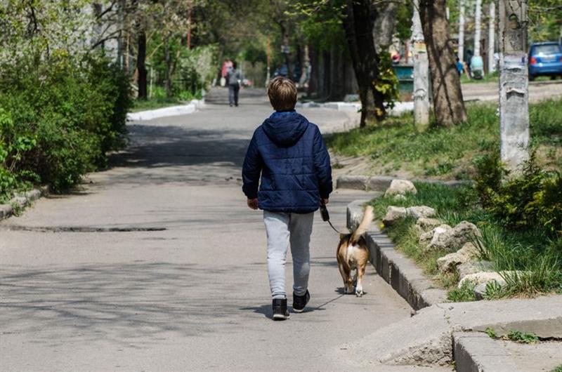 Момче го шетало кучето, па нашло богатство, старо 2.000 години (ФОТО)