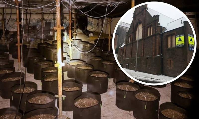 Албански дилери „работат“ и во Шкотска- направиле фарма за марихуана во напуштен базен 