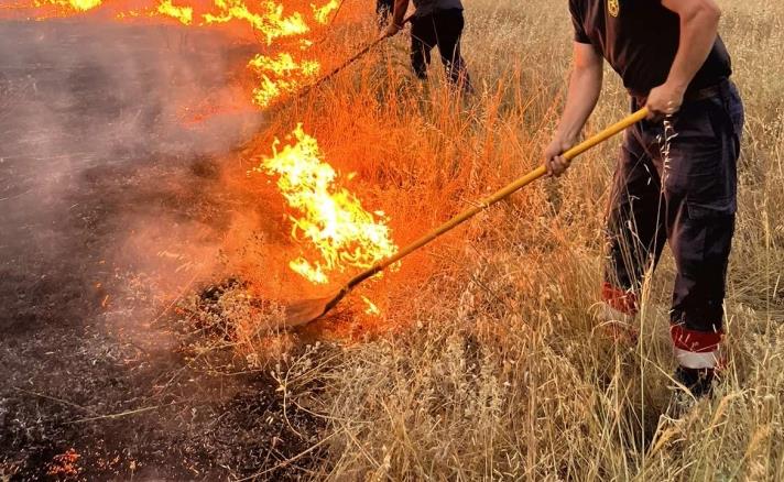 Во март 17 пожари на отворено на територијата на Крива Паланка 