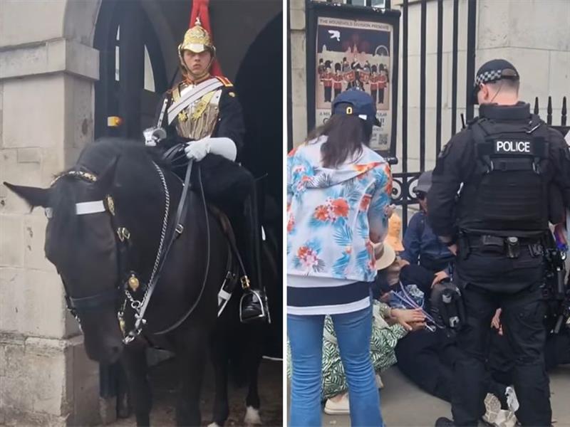 Сакала да погали коњ на Кралската гарда, но паднала во несвест по каснувањето (ВИДЕО)