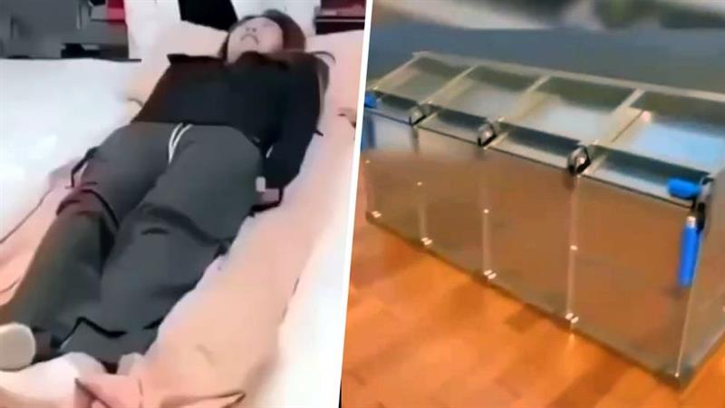 Кревет што штити од земјотреси предизвика „земјотрес“ на социјалните мрежи: Фенси ковчег(ВИДЕО)