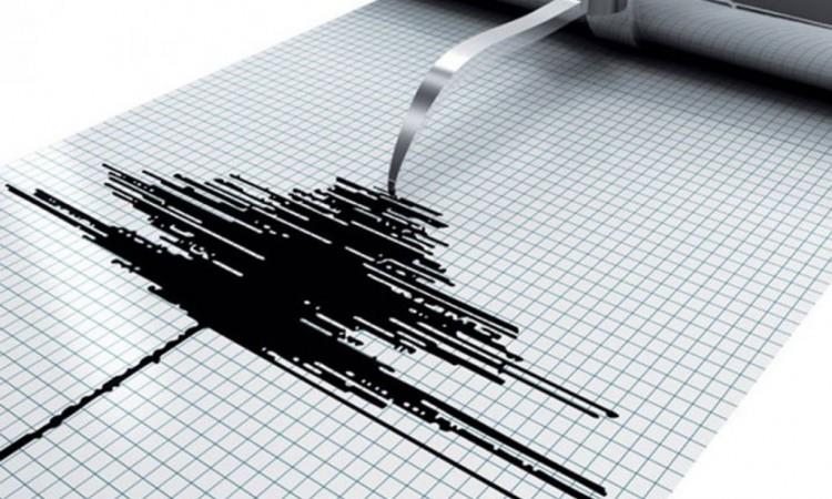 Земјотрес од 4,3 степени го погоди познатото летувалиште на Халкидики 
