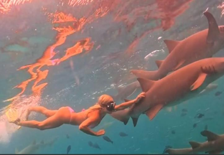 Видео: Хрватска инфлуенсерка на одмор била касната од ајкула 