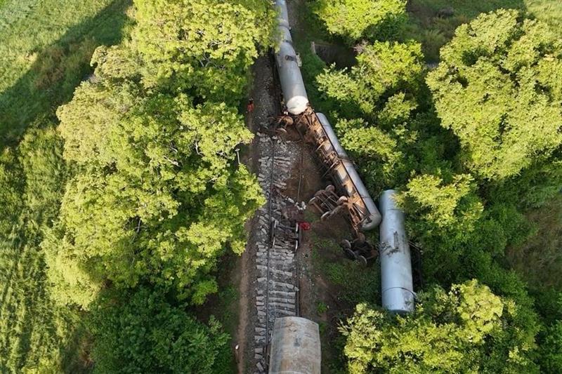 Воз удри во крдо слонови и излетал од шините- мртвите животно останаа на пругата (ВИДЕО)