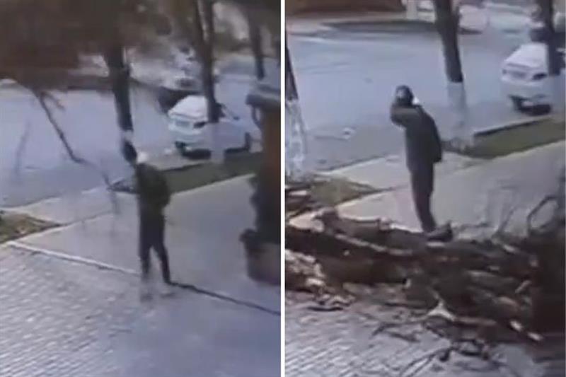Дрво падна на тротоар- човек за дел од секунда остана жив (ВИДЕО)