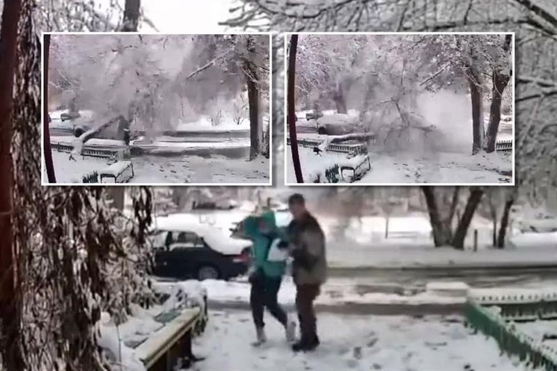 Дрво падна врз жена додека се шетала по снежна патека, едвај ја извлекоа (ВИДЕО)