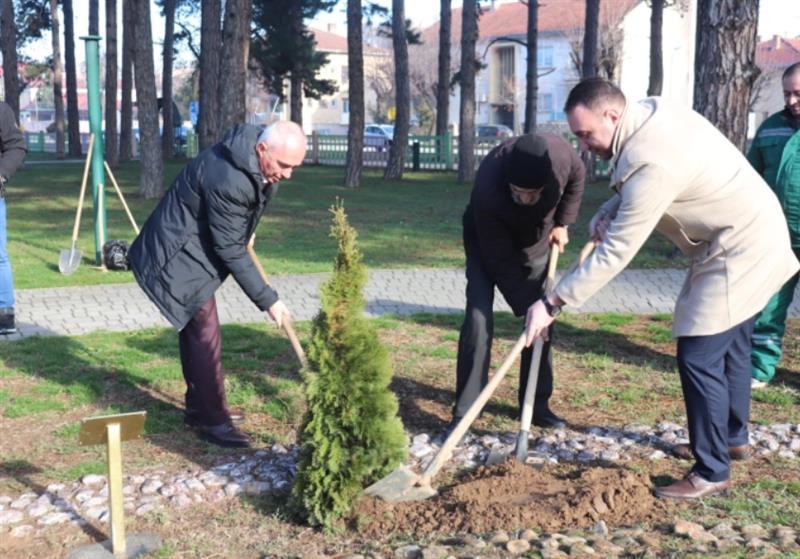 Актерот Борис Чоревски засади дрвце во Алеја на наградените за животно дело во Битола