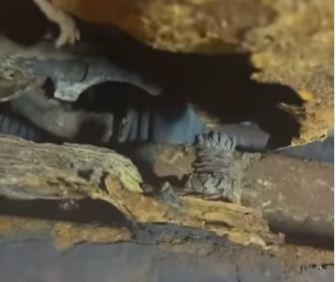 Видео: Механичарите шокирани, овој Форд е „изеден“ од корозија