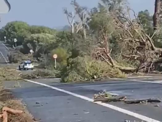 Видео: Торнадо направи хаос во Шпанија
