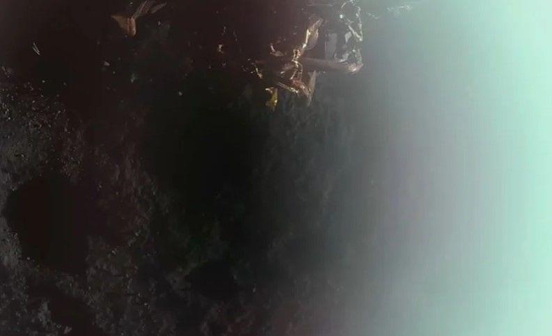 Први фотографии од површината на Месечината по слетувањето на мисијата „Blue Ghost“