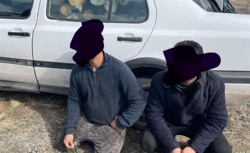 шумска полиција