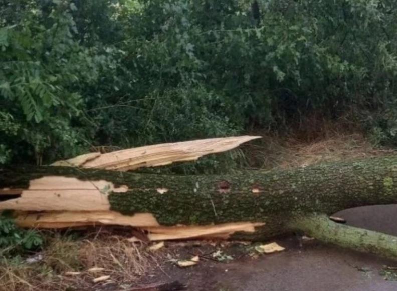 Во торнада, пожари и песочни бури загинаа најмалку 40 луѓе ширум САД