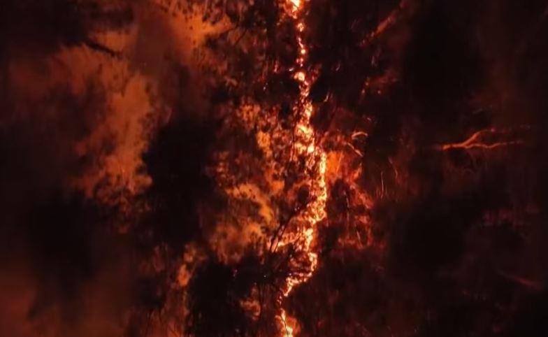 24 лица загинаа во големи шумски пожари во Јужна Кореја