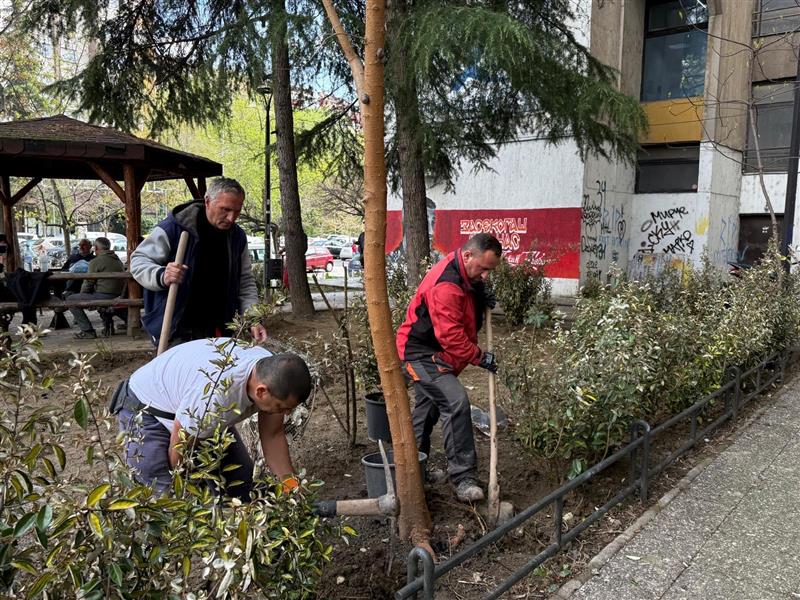 Герасимовски: Засадени нови дрвја во Капиштец, инвестираме во здравјето на центарци