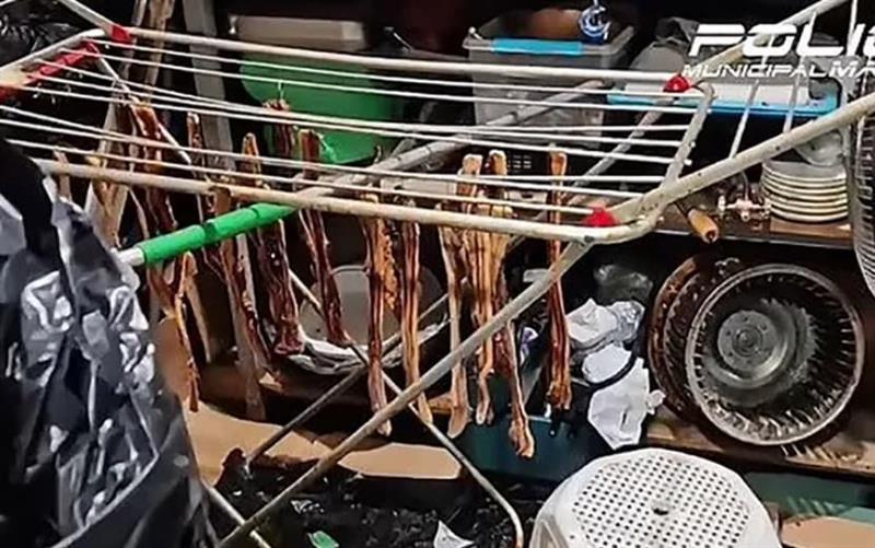Ужас во познат ресторан: Ловеле гулаби на улица, па ги сервирале како печени патки (ВИДЕО)