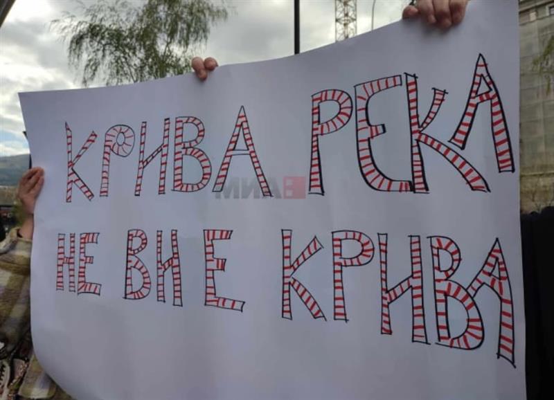 Еко-активистите побараа одговорност на протест за загадувањето на Крива Река