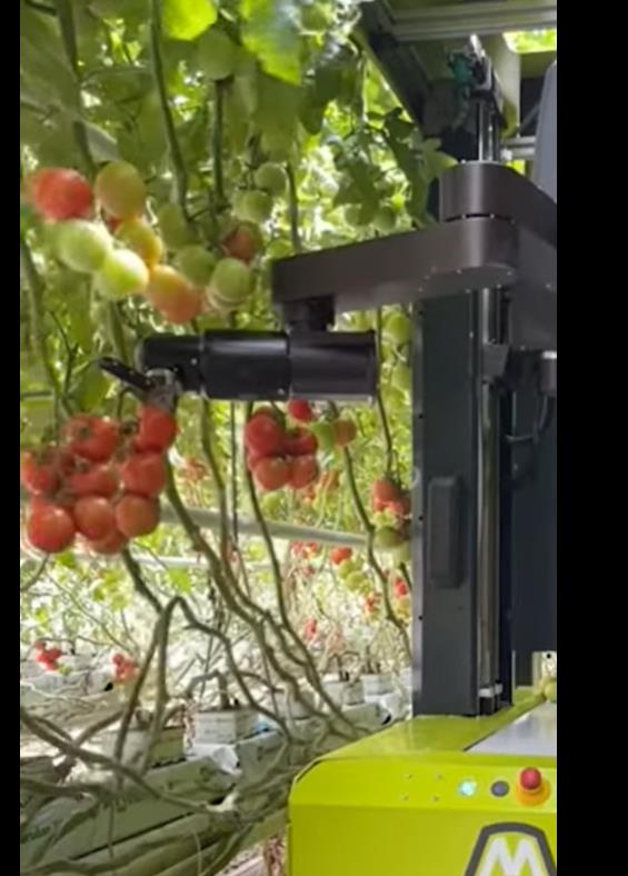 Видео: Земјоделски робот со вештачка интелигенција