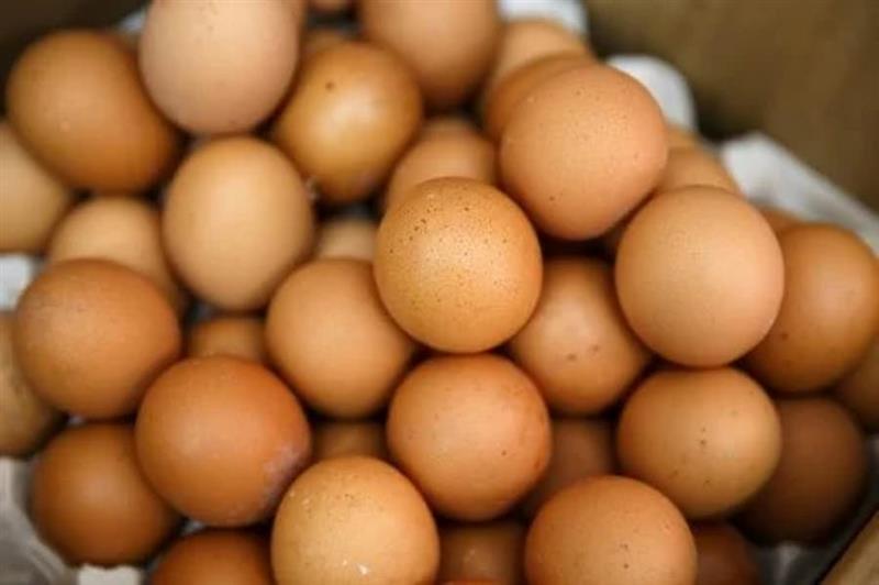 Раст на цените на јајцата во ЕУ 