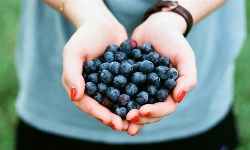 Нутриционисти: Пет продукти што ги „бришат годините“ и заштитуваат од стрес 
