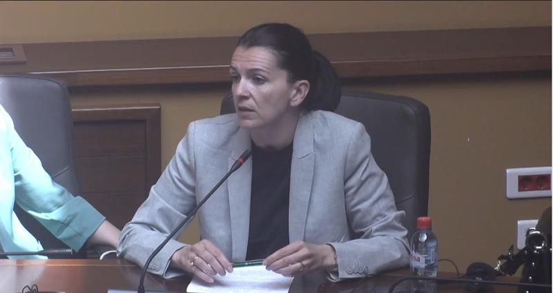 Костадиновска-Стојчевска: Со измените власта го уназади Законот за македонски јазик