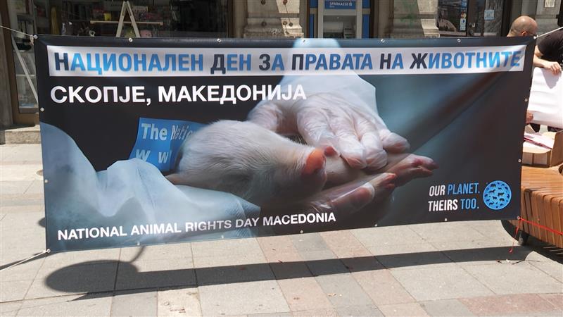Национален ден на правата на животните - потребно е кревање на свеста кај граѓаните