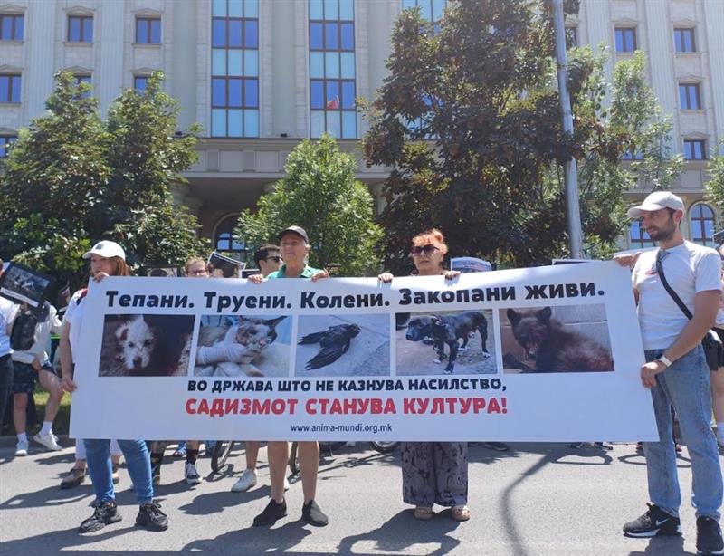 Во Скопје се одржа протест за кучето Феликс, граѓаните бараат правда и затвор 