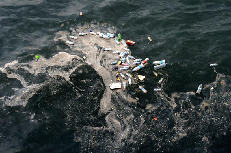 УФМ: Во Средоземно Море за 25 години би можело да има повеќе пластика отколку риби
