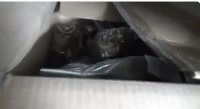 Запленети над два тона сув цвет од канабис во Зелениково (ВИДЕО)