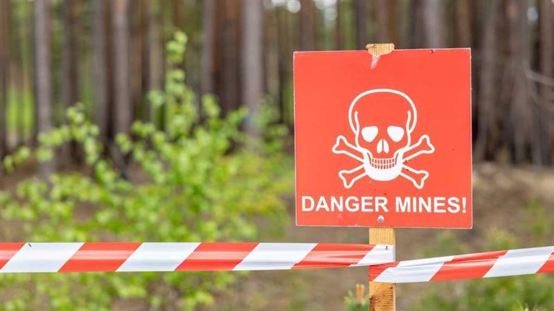 Балтичките земји го напуштија меѓународниот договор за забрана на противпешадиски мини 