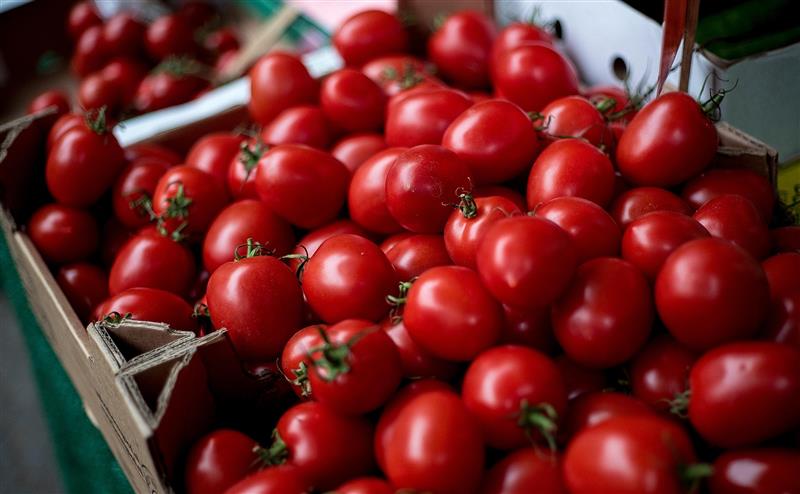 На ова место се продава најскапиот домат: Никој не сака кавијар – сите го купуваат и не жалат пари 