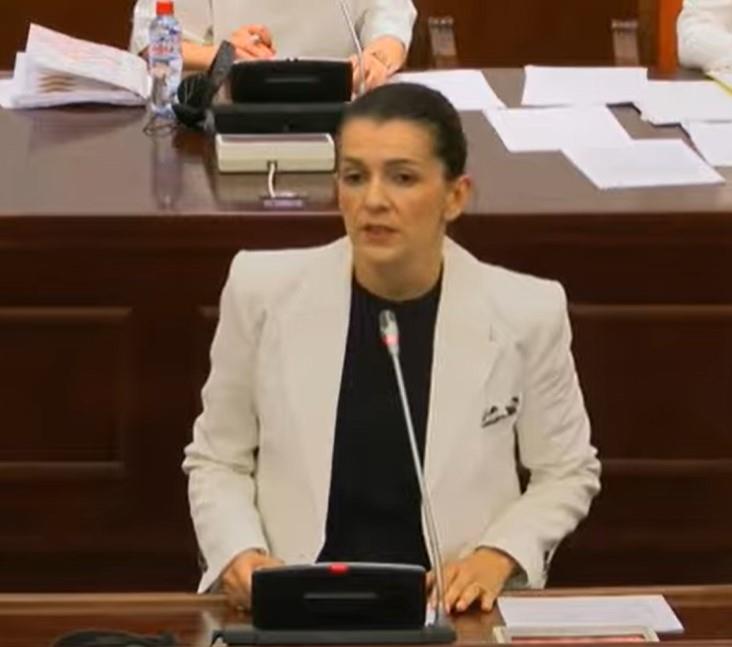 Костадиновска Стојчевска: Со ребалансот власта крати средства за социјални надоместоци, а вработува партиски кадри пред изборите