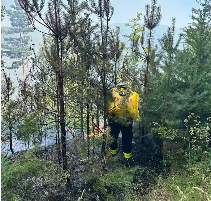 Гори мешана шума во Длабочица, општина Старо Нагоричане