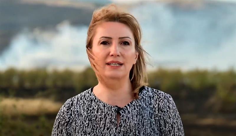 СДСМ: Гори цела Македонија, Владата нема контрола врз пожарите