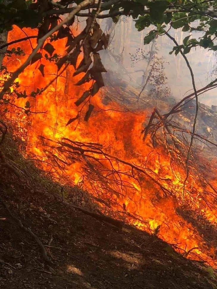 Лишено лице од дебарско поради предизвикување пожар