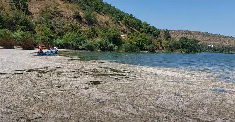 Квалитетот на водата во езерото „Младост“ полош од лани, итно да се реализираат одамна донесени мерки 