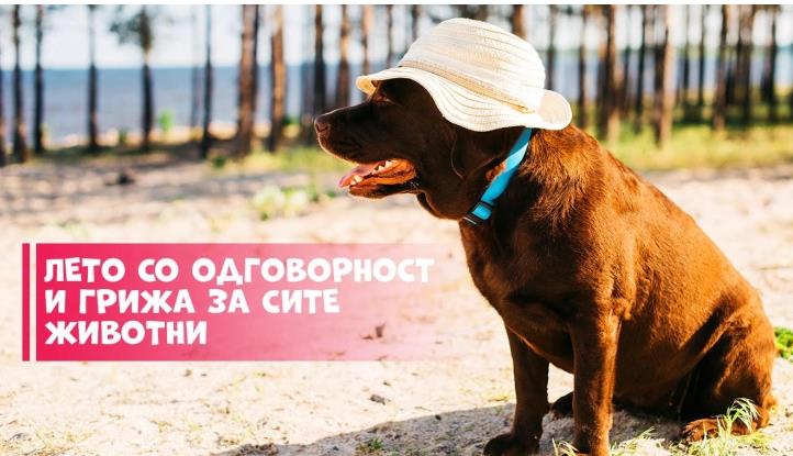 ЈП ЛАЈКА апелира до граѓаните да покажат грижа и одговорност кон милениците и бездомните животни