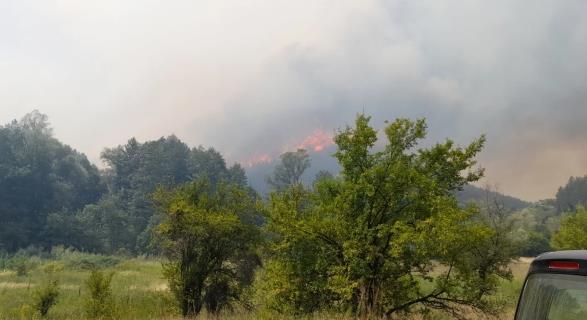 Тимови од Чешка и Словенија ќе го гасат пожарот на Готен