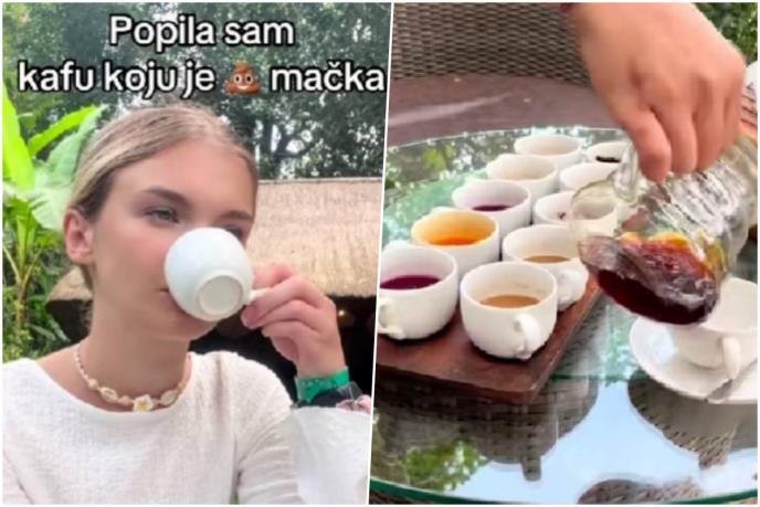 Тиктокерка проба кафе направено од измет од мачки- најскапо е на светот (ВИДЕО)