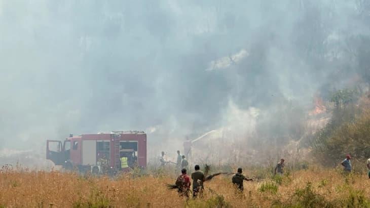 Беснеат 14 пожари во Албанија, се очекува да пристигнат хеликоптери од ОАР, Грција и други земји од ЕУ