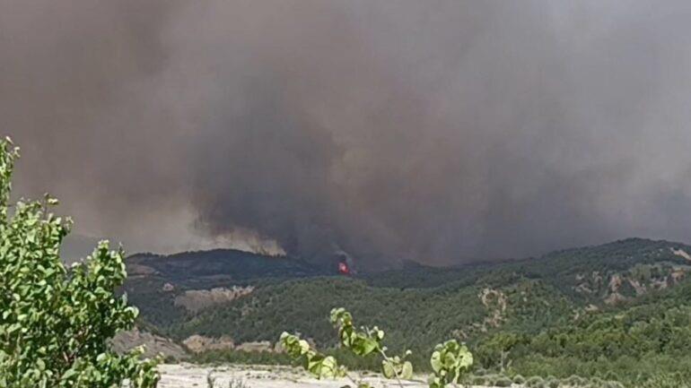 Прва жртва од пожарите во Албанија, наредена е евакуација на три села во Грамш (ВИДЕО)