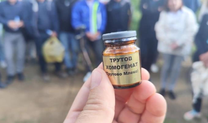 Трутово млеко - „супер храна“ за која малкумина слушнале, есенва „на дофат“ првите количини произведени од нашите пчелари