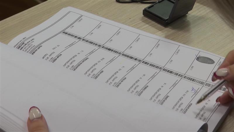 Во сабота почнува увидот во Избирачкиот список за локалните избори, ќе трае до 11 септември