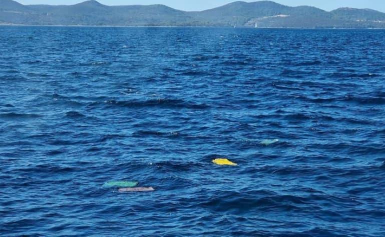Драма на плажа во Грција: Човек на даска спасува деца, струјата ги носи кон отворено море (ВИДЕО)
