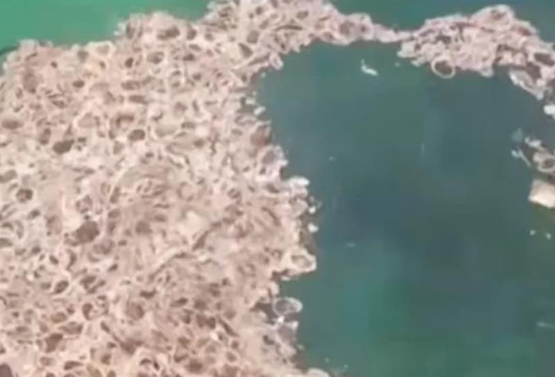 Мистериозна појава во моретот покрај плажа на Малта: Туристите се згрозени од слуз и од смрдеа (ВИДЕО)