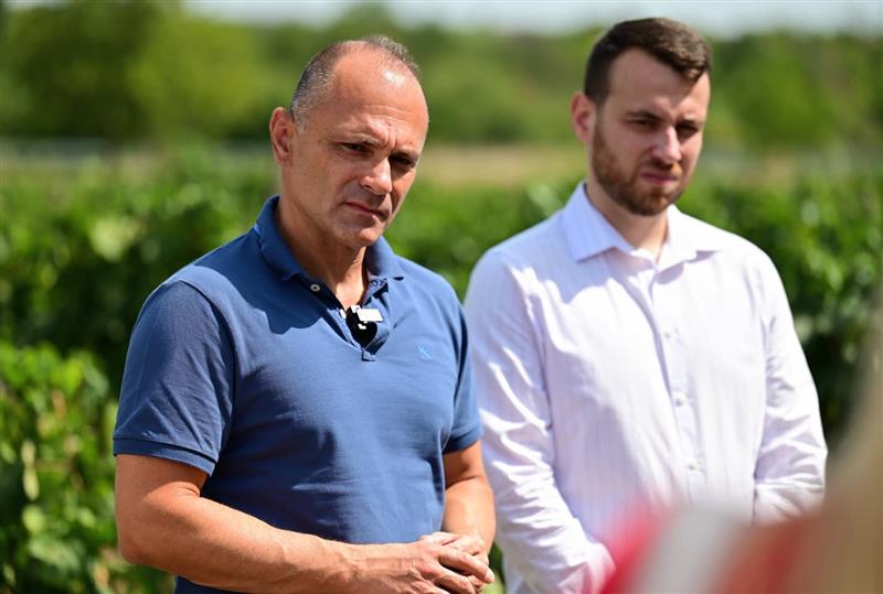 Филипче: Владата со цинични половина денар за килограм се фали со повисоки откупни цени на грозјето