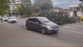 Видео: Невреме во Скопје, дрво падна во Капиштец