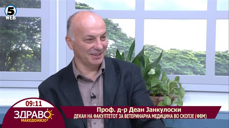 Јанкулоски за Канал 5: „Добивме 13,5 милиони денари за да создадеме нова раса крави во Македонија“