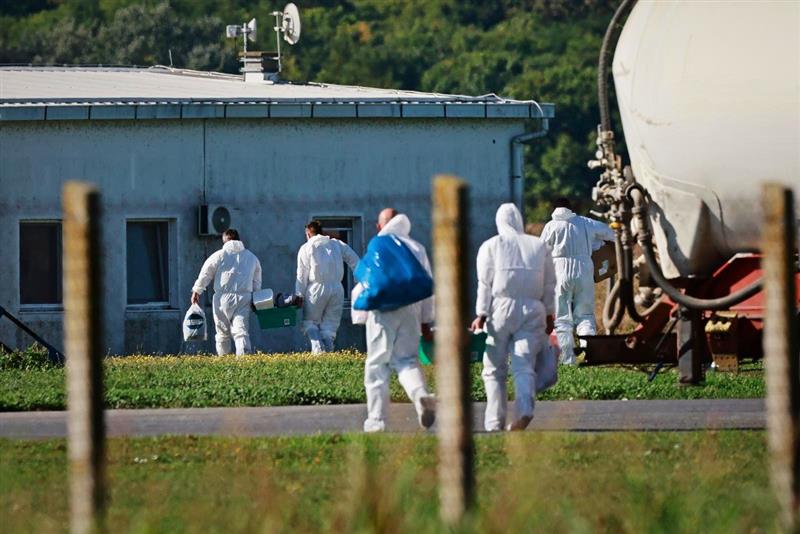 На фарма во Хрватска потврден вирусот африканска свинска чума, подготовки за убивање на 12.000 свињи